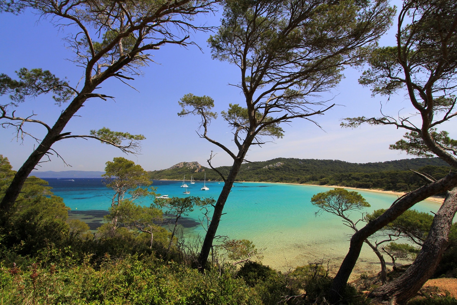 Battle-plages-Plage-Notre-Dame-Porquerolles