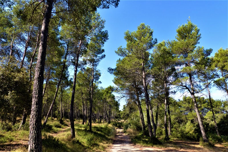 Chemins-des-parcs-naturels- saison
