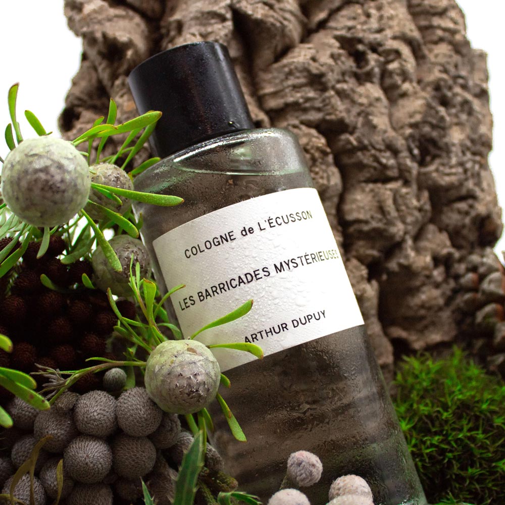 Fragrances-Sud-ARTHUR-DUPUY-LES-BARRICADES-MYSTÉRIEUSES-48€-250ml