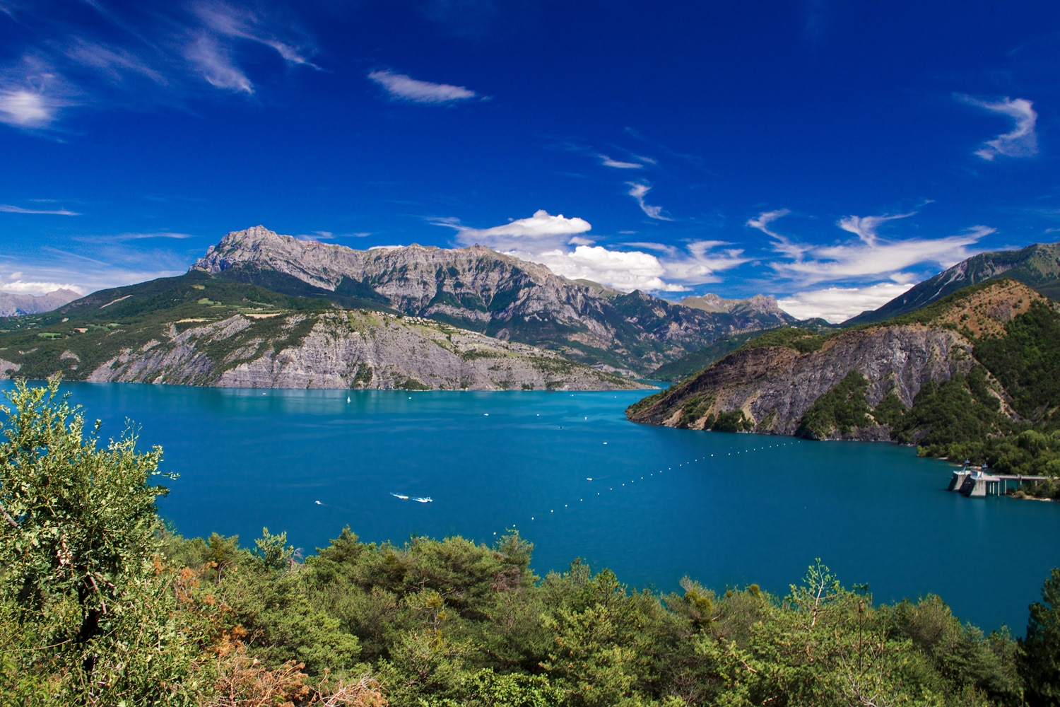 Lacs-du-sud-Lac-de-Serre-Ponçon-MoutonA-2017-13163