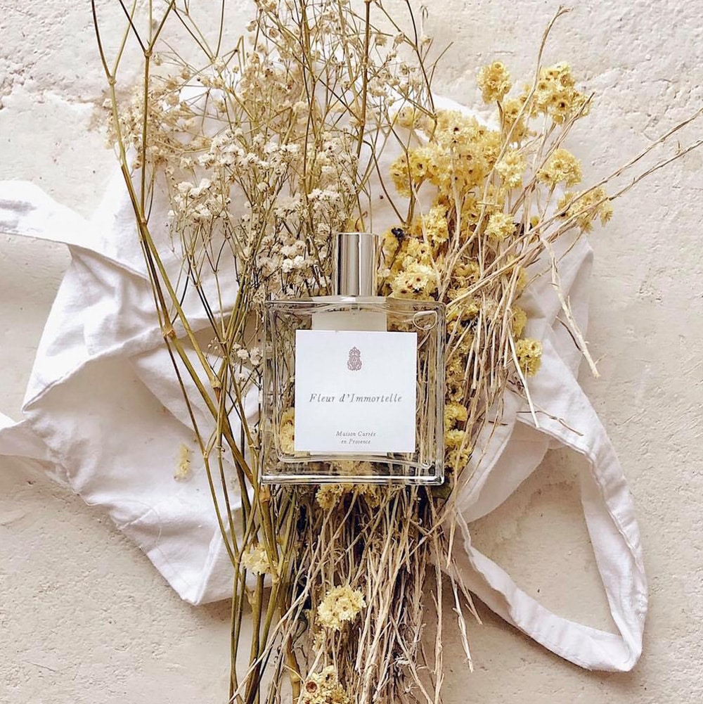 Maison-Carree-en-Provence-brume-vegetale-Fleur-Immortelle