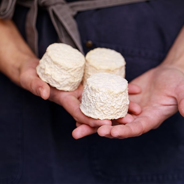 Fromage frais de la Laiterie située rue Sainte à Marseille.