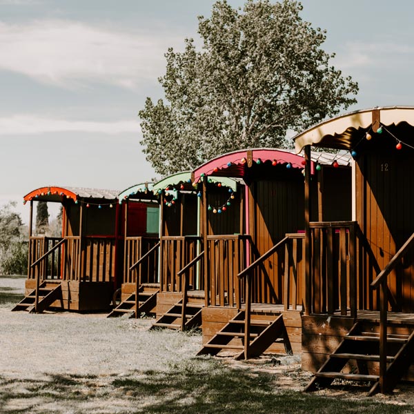 Le domaine Le Sauvage entouré d’un écosystème raisonné en Camargue.