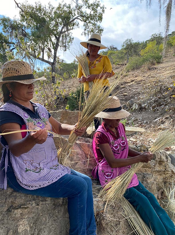 Trois femmes tressant la palme.