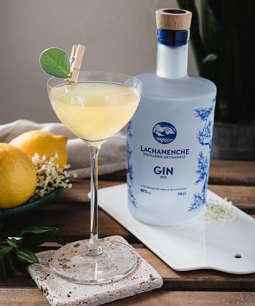 Le cocktail Martini par La Distillerie Lachanenche.