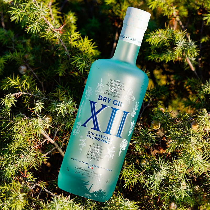 Le recette du cocktail « Abracadabra Sour » de Distilleries et Domaines de Provence x Mixologist in the Soul, à base du Dry Gin XII.