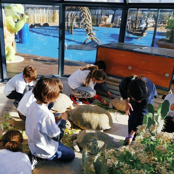 Stages Club Océano au Musée Océanographique de Monaco pour les vacances des enfants.