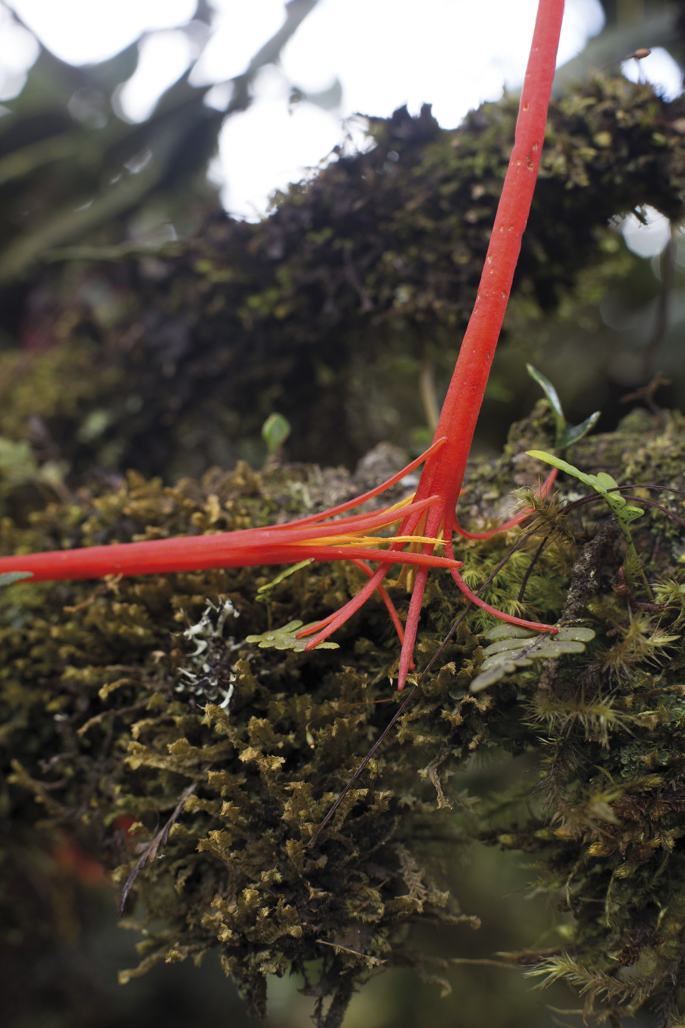 Agenda culture avril 2018 Carré d'Art Nîmes Wolfgang Tillmans Chingaza