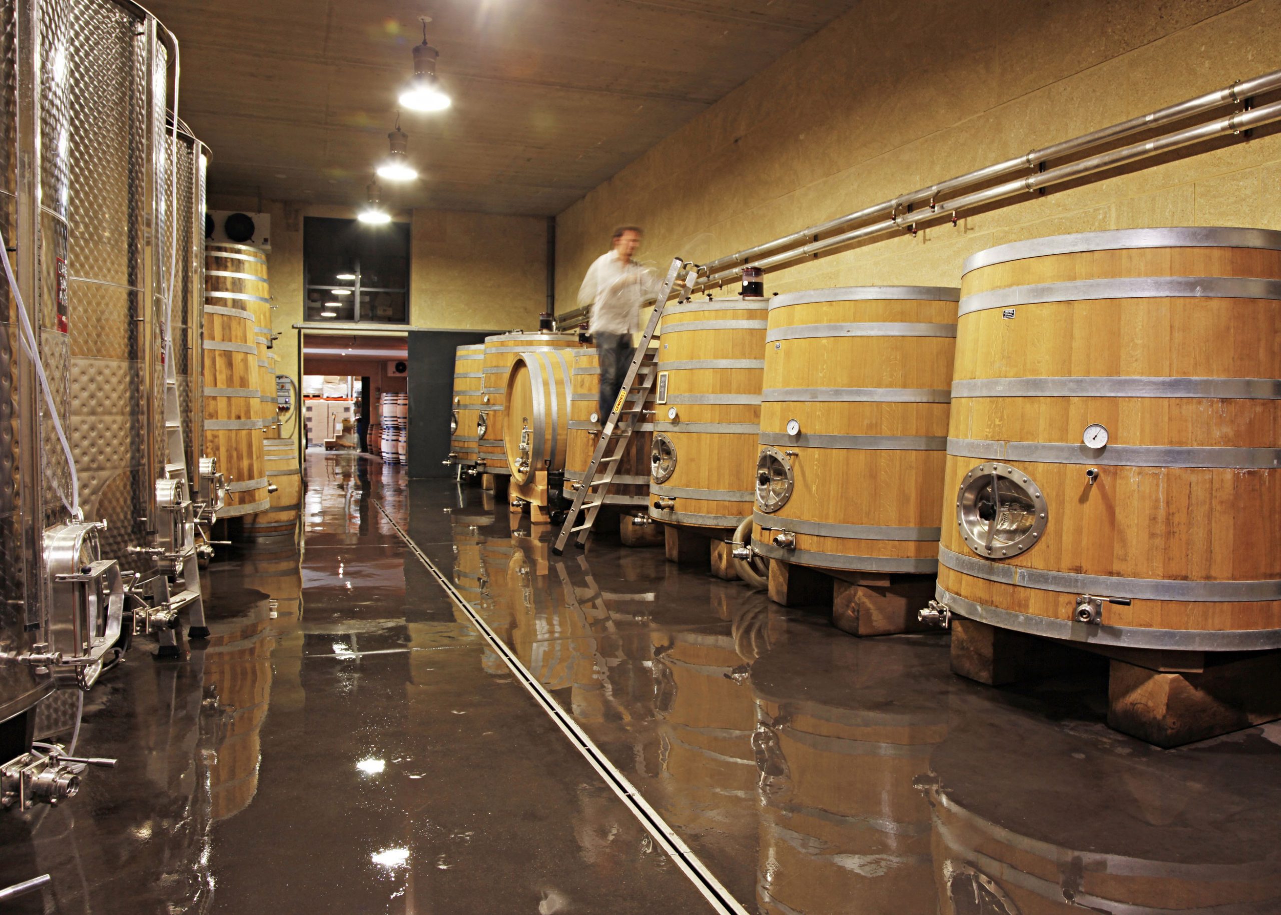 domaine-pas-de-l-escalette-clapas-blanc