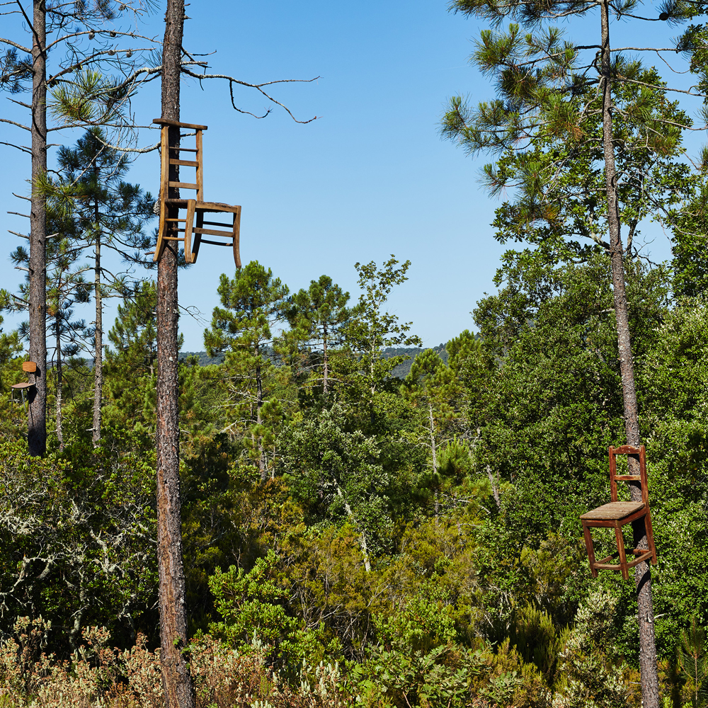 domaines-art-nature-domaine-du-muy-john_m_armleder
