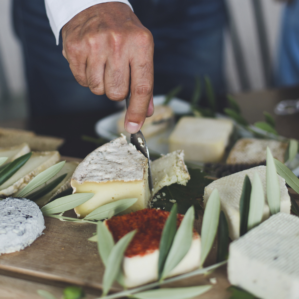 pays-de-fayence-villages-perches-degustation-fromages-fanny-ferme-des-cairns