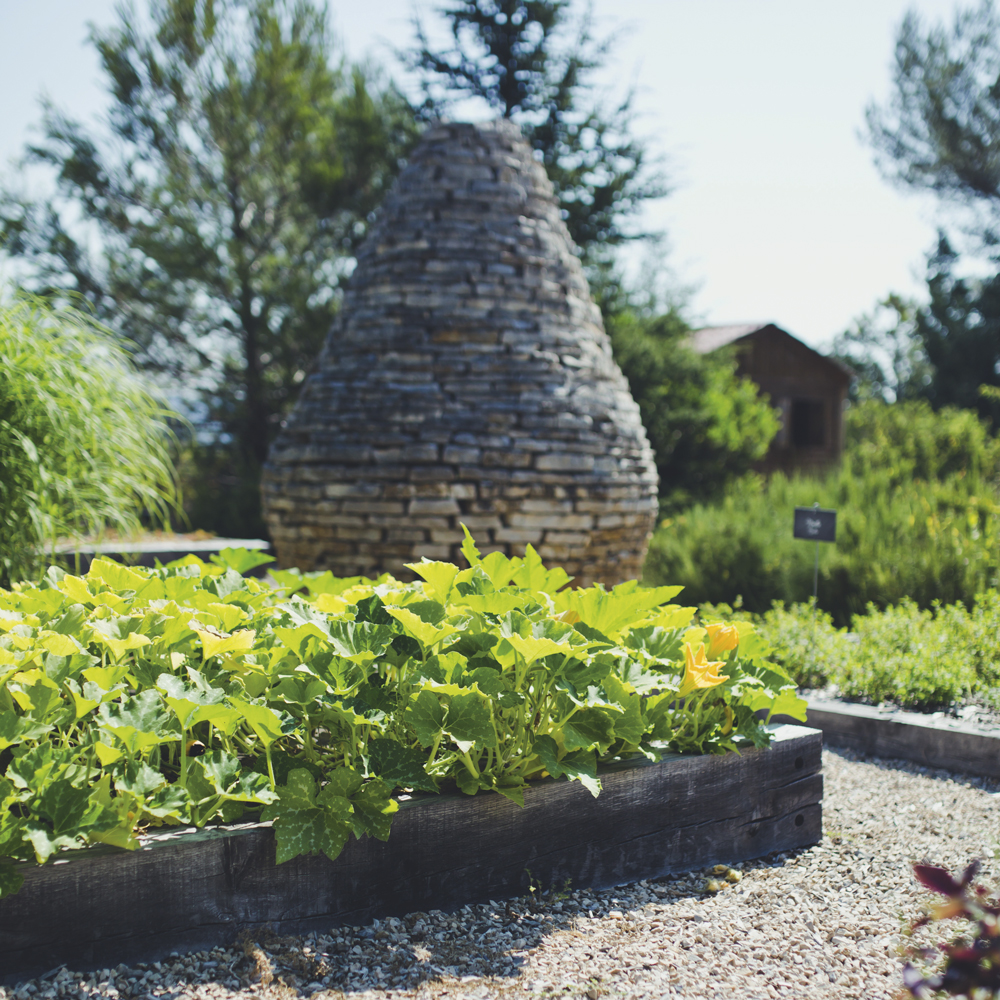 pays-de-fayence-villages-perches-potager-aromatique-philippe-jourdin