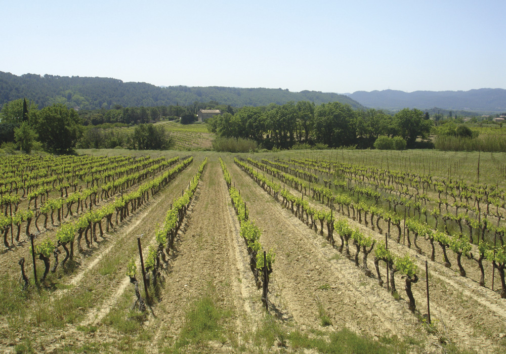 vins-bio-luberon-chateau-fontvert