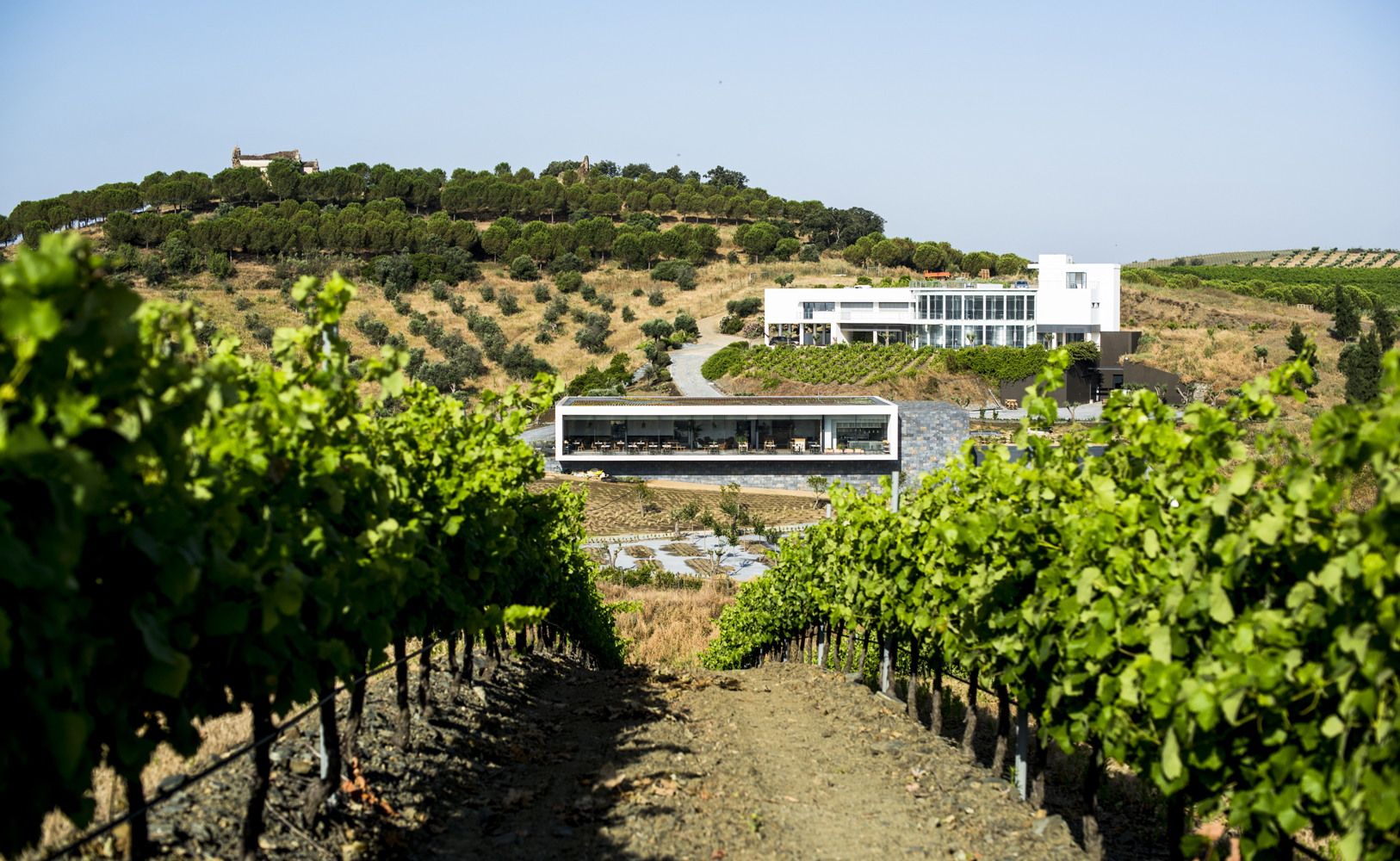 voyage-portugal-alentejo_GONCALO-VILLAVERDE_complexe-vinicole-de-Herdade-do-Esporao