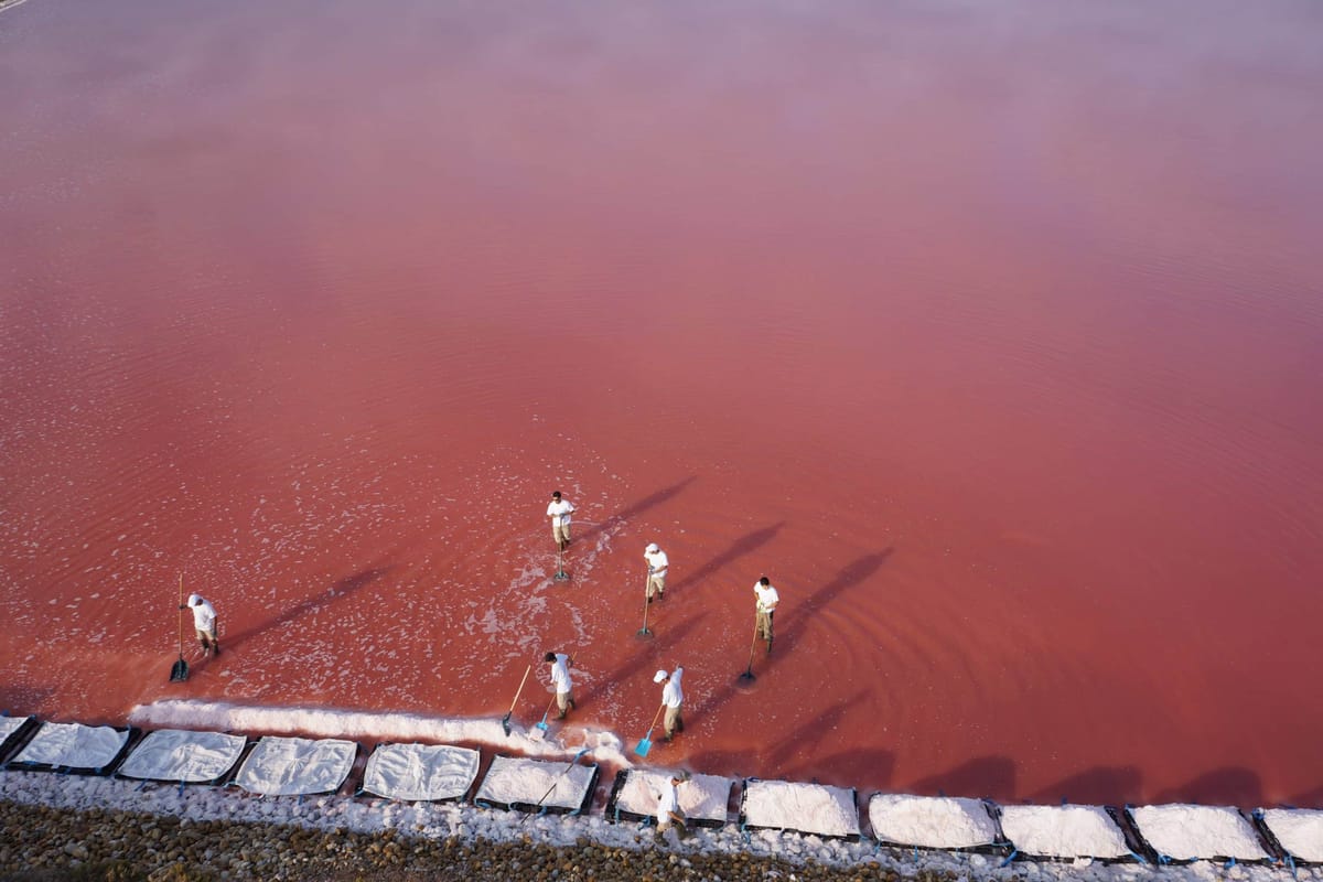 Sauniers de Camargue. Le sel de la vie
