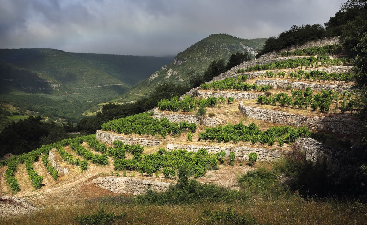 Domaine Le Pas de l'Escalette