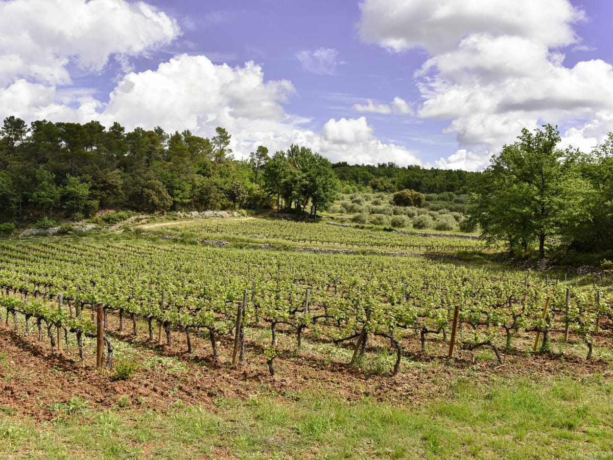 Domaine Mira Luna, la face cachée de la Provence.