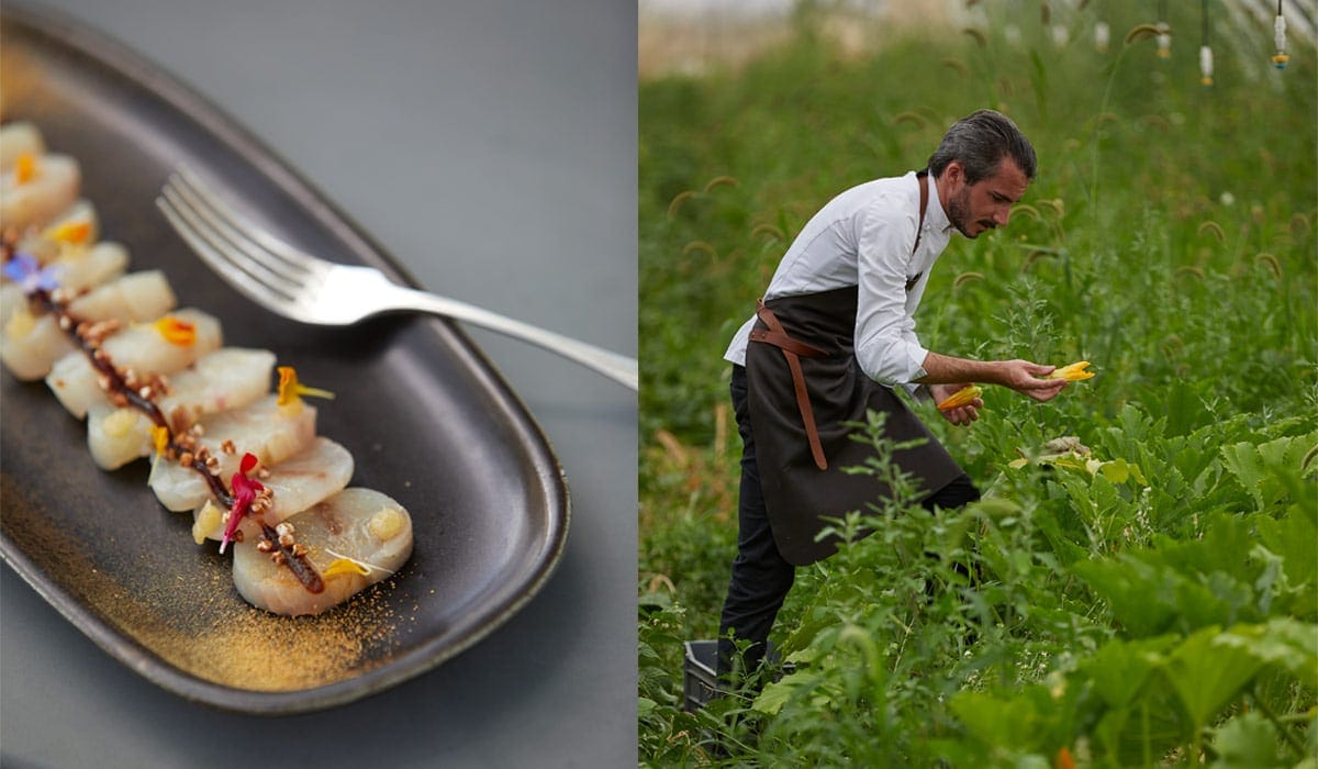 La Sériole de Méditerranée marinée au sel d’agrumes, condiment ponzu et sarrasin imaginée par Quentin Durand, Chef du Château de Fonscolombe.