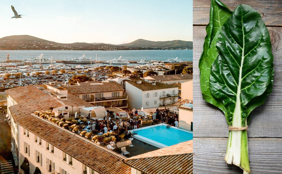 Recette tarte Blettes Hotel Paris Saint Tropez
