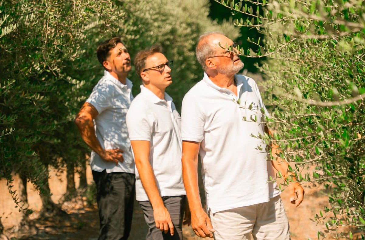 Famille Chaine, Mas Roberty