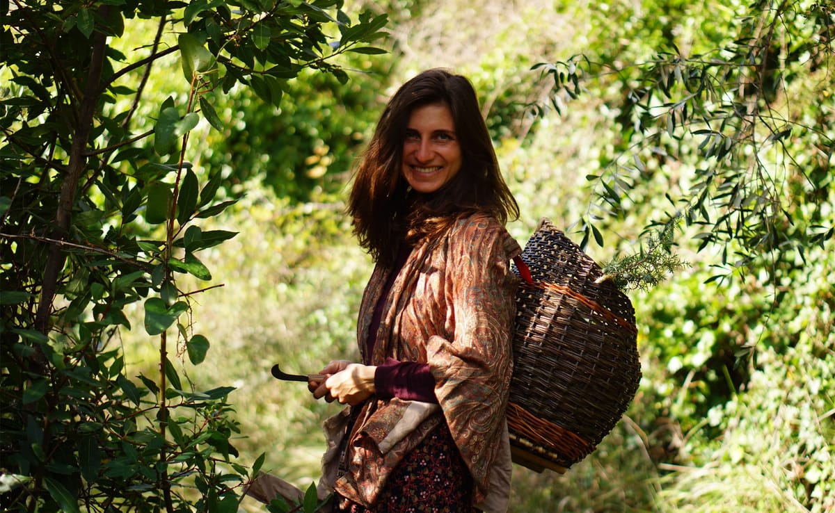La cueilleuse sauvage du sud.