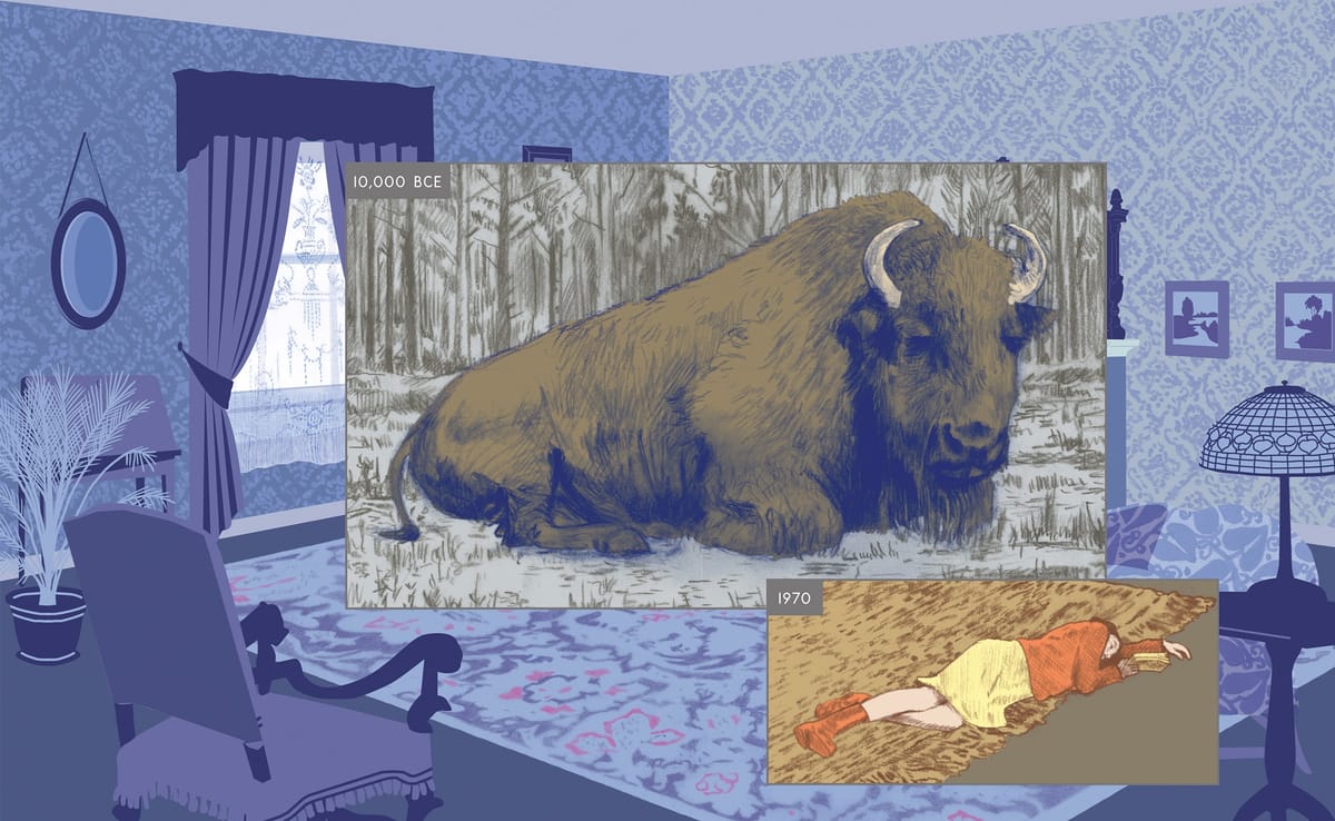 Richard McGuire Sound and Vision Bison du Festival Laterna Magica