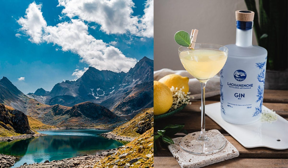 Le cocktail Lachanenche Martini de la collaboration Gin exclusif x Distillerie Lachanenche