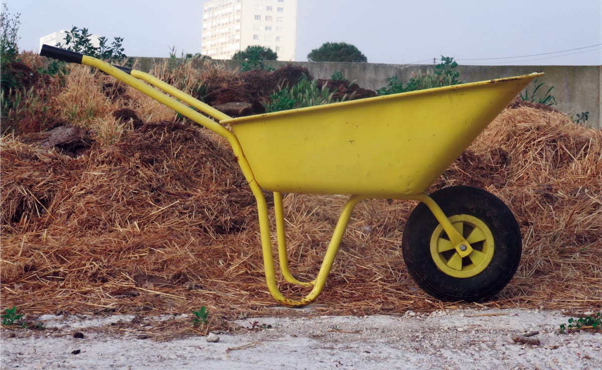 Marseille, bientôt un vrai modèle green ?