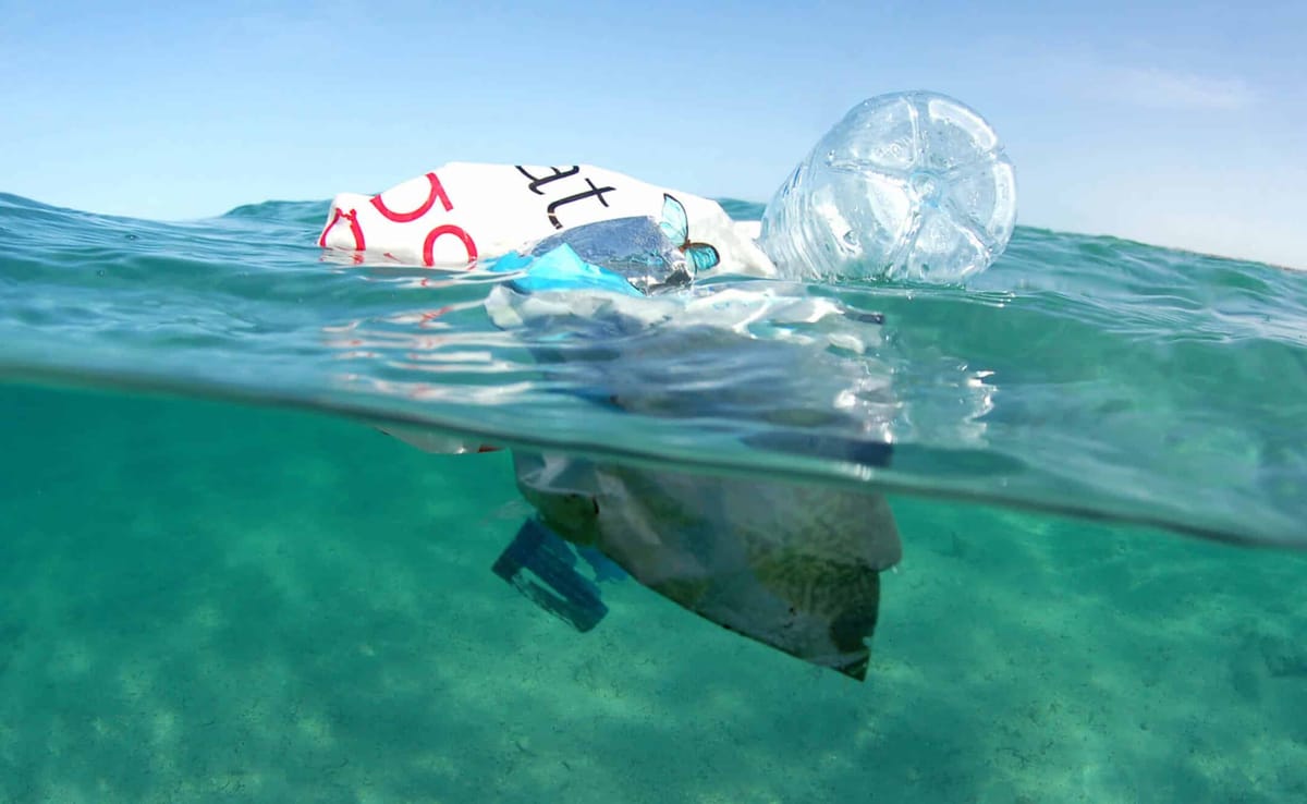 monaco-art-week-fondation-prince-albert-II-plastique-fondation-primat