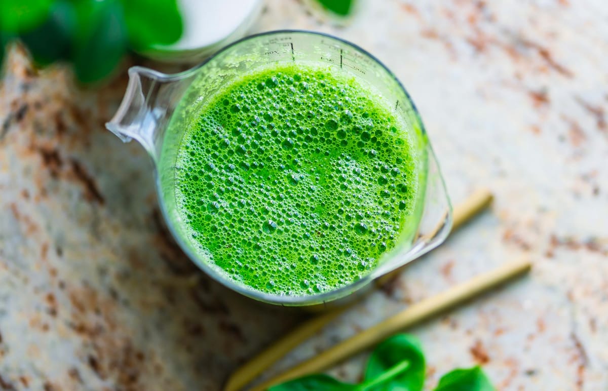 La spiruline, algue verte grandissante sous le soleil du sud.