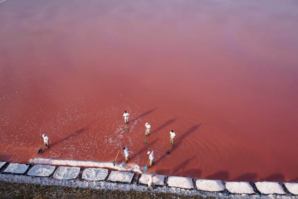 Sauniers de Camargue. Le sel de la vie