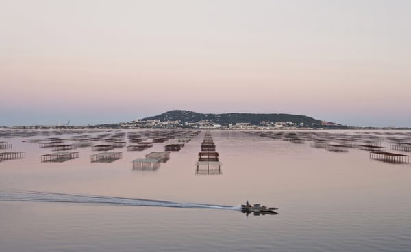 Huitre-traditionnelle-de-Sete-©Maynard2020