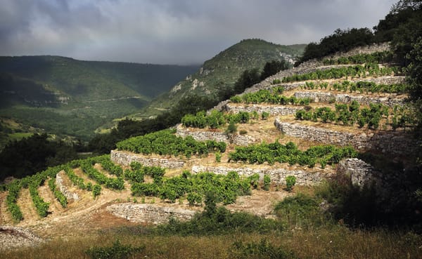 Domaine Le Pas de l'Escalette