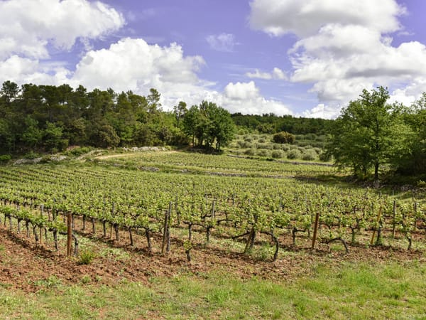 Domaine Mira Luna, la face cachée de la Provence.