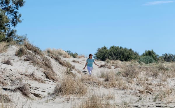 Plage_de_sauvages hors sentiers battus