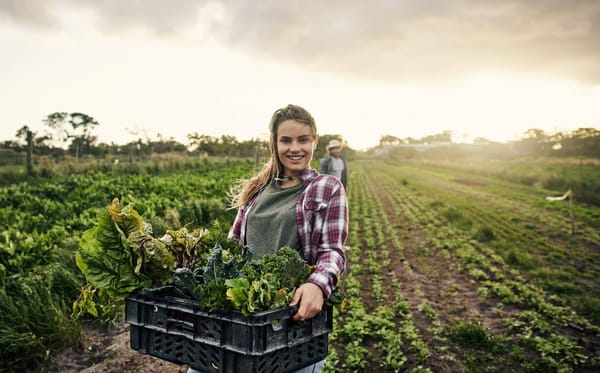 panier-bonheur-agriculture-confinement