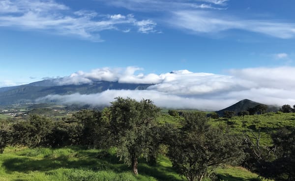 La Réunion, le bonheur nature