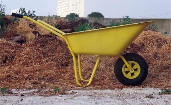 Marseille, bientôt un vrai modèle green ?