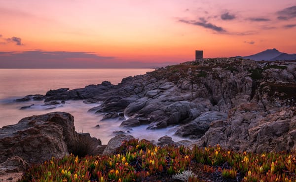 Corse-l'ile-aux-parfums-senteurs-maquis-mer
