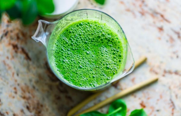 La spiruline, algue verte grandissante sous le soleil du sud.
