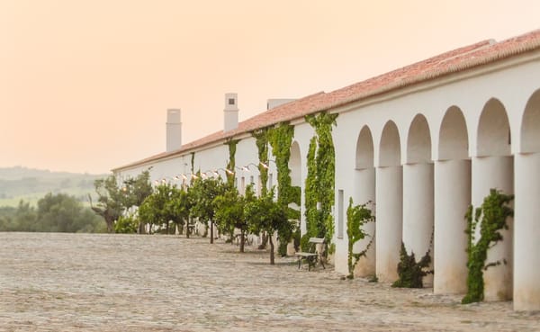 voyage-portugal-alentejo-sao-lourenco-do-barrocal_©Ash-James