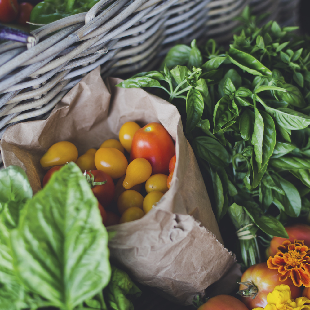 pays-de-fayence-villages-perches-jardin-olivier-stumpf