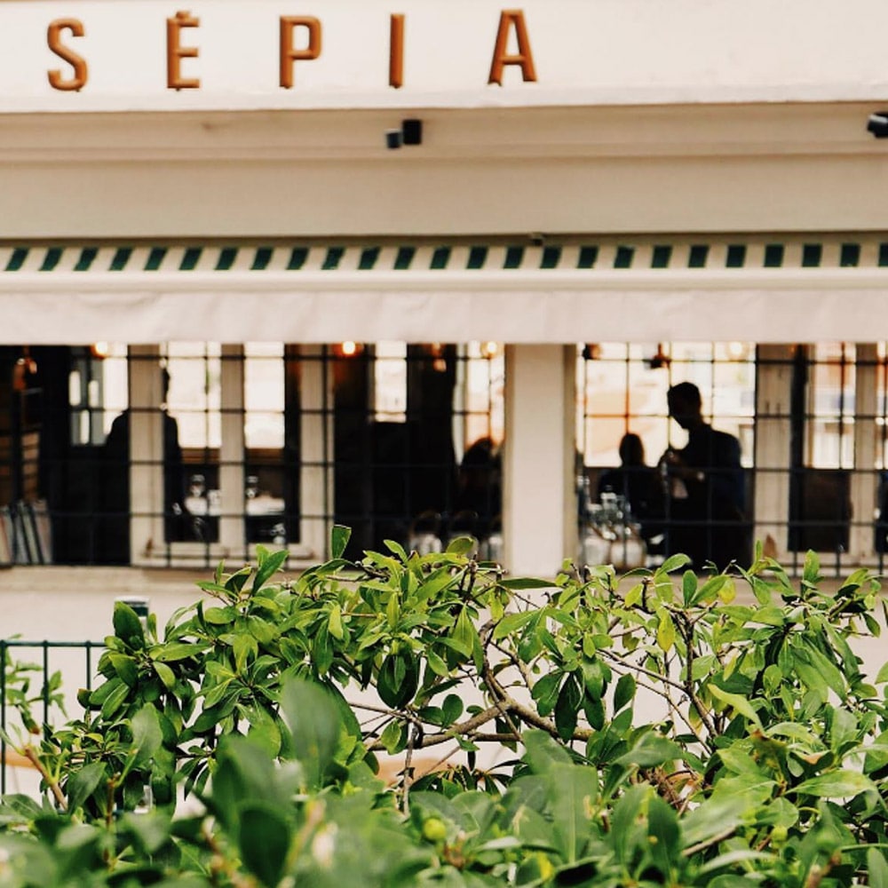 Saveurs-Mediterraneennes-Marseille-Restaurant-Sepia