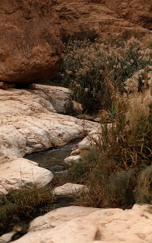 Wadi Qelt, Dans la clarté des pierres par Ilanit Illouz aux rencontres d’Arles 2021.