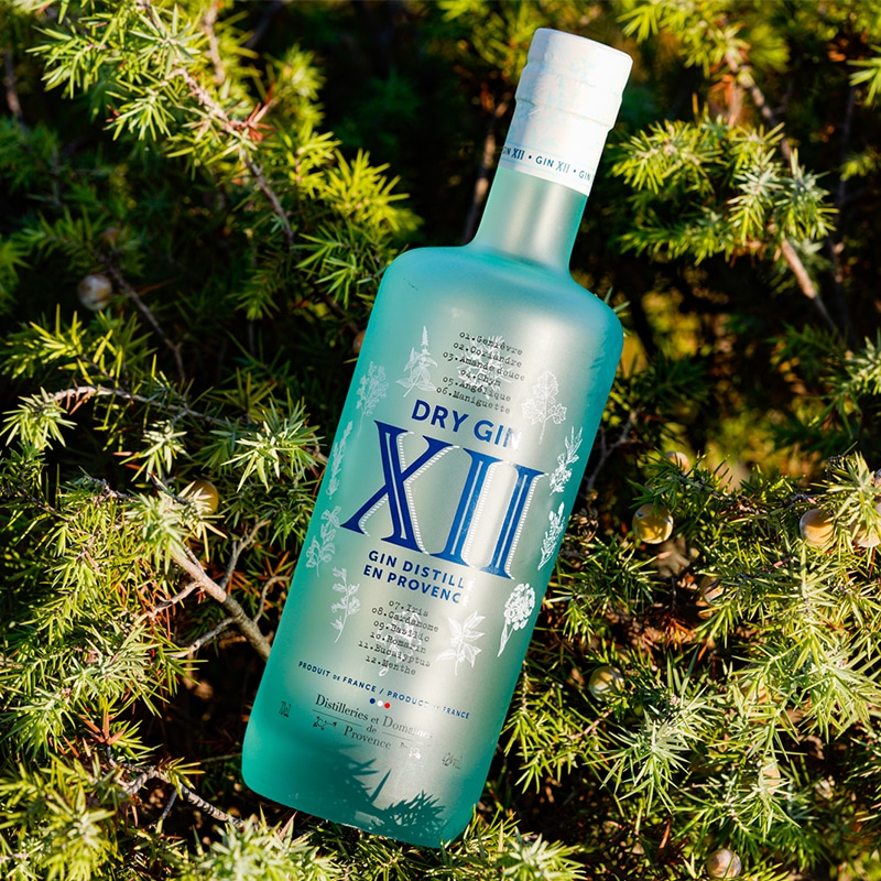 Sudnly_Distilleries et Domaines de Provence_Dry Gin XII 2_@Raoul Beltrame