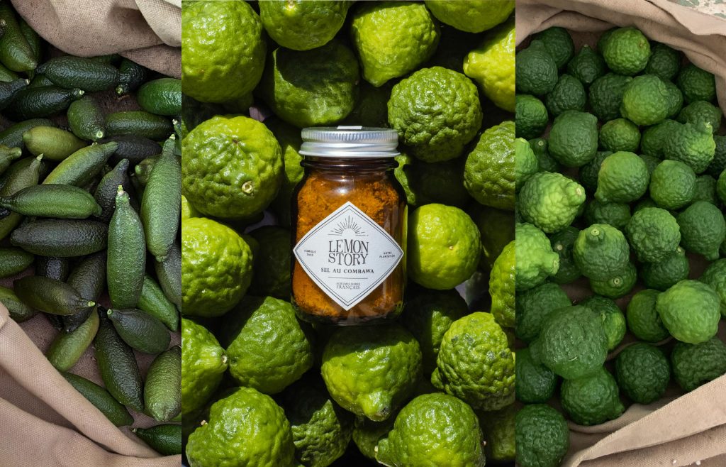 Lemon Story. Pulpe fiction Sudnly