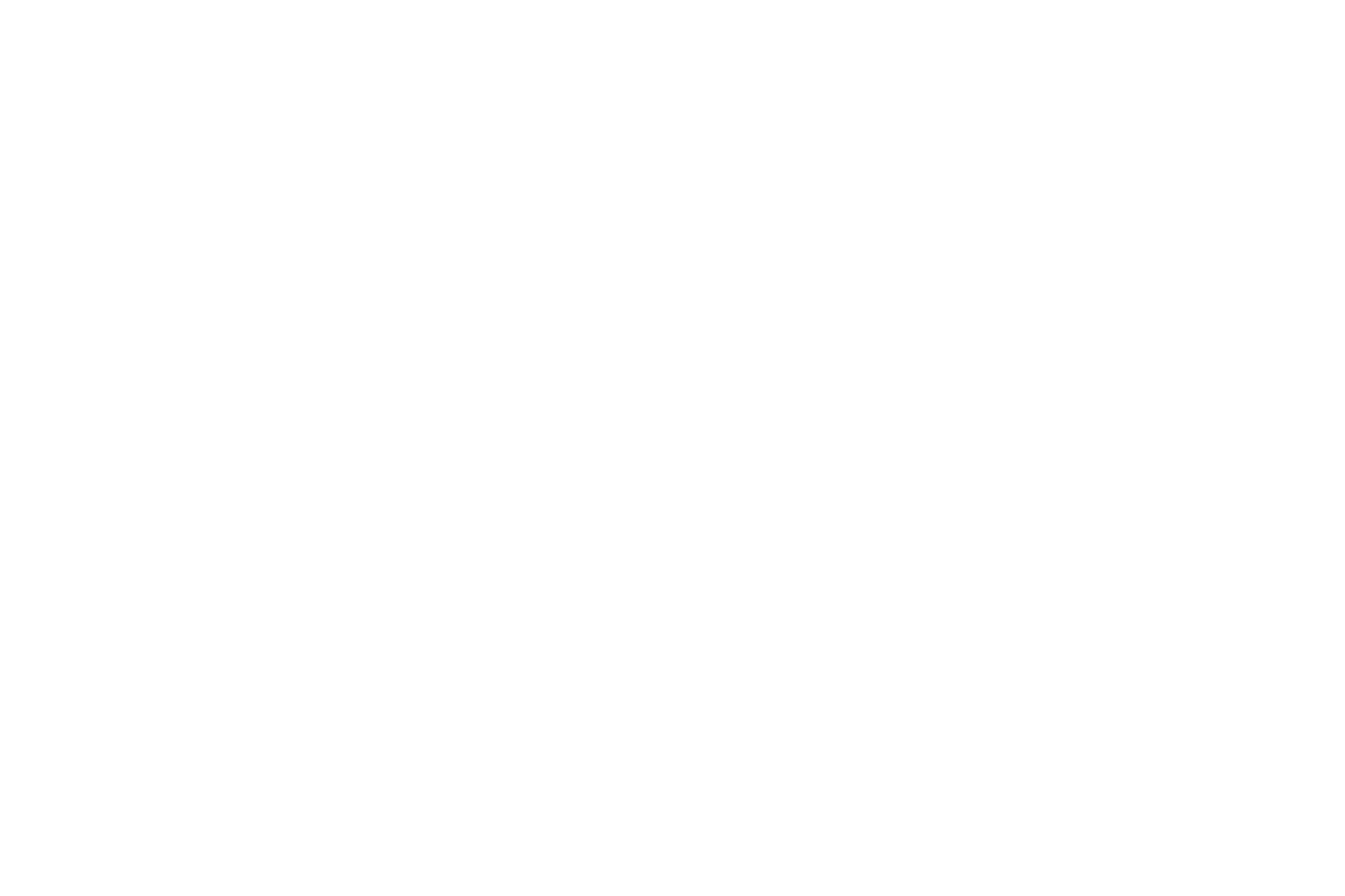 Sudnly Le nouveau média du Sud, Création, Culture, Art de vivre