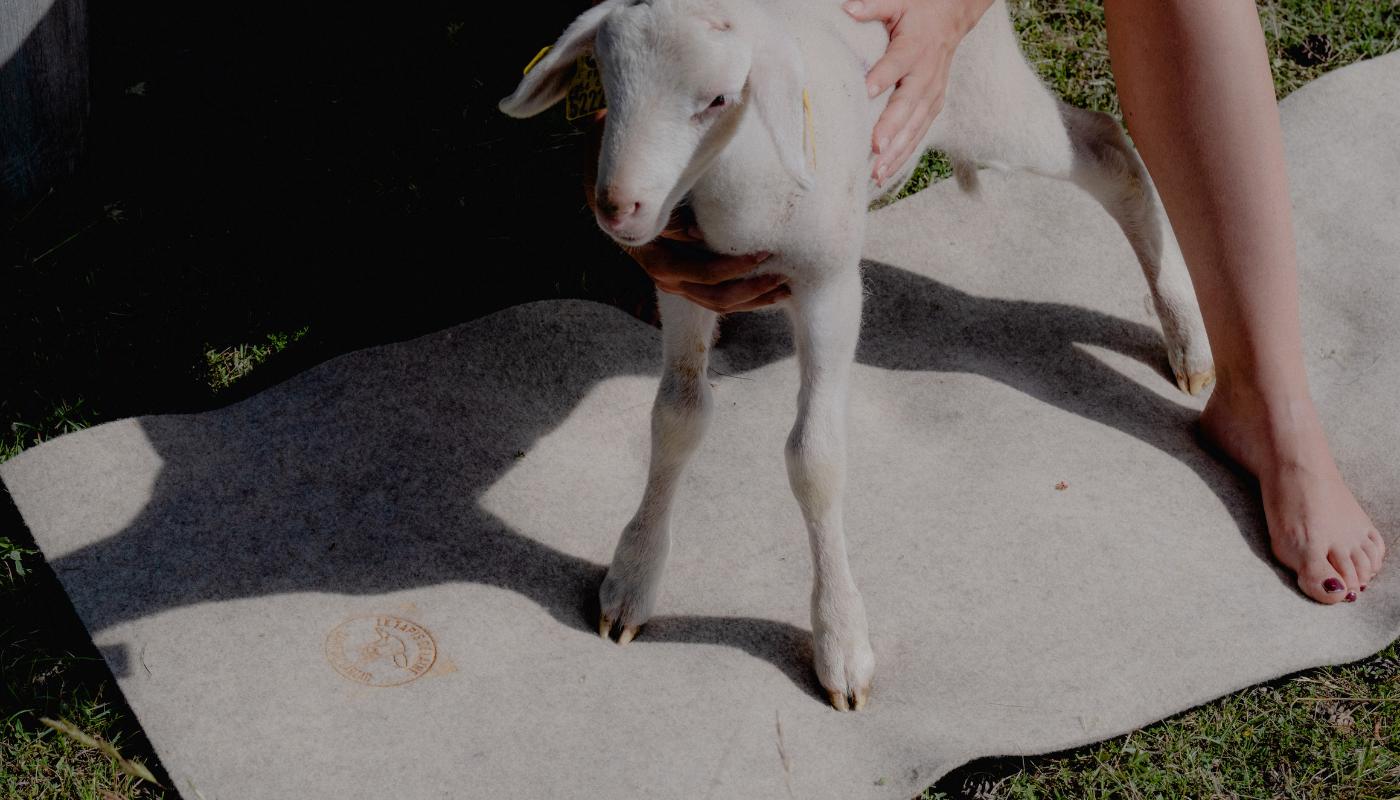 La tarte aux blettes salée de José Bailly aux Roches Rouges, Saint-Raphaël