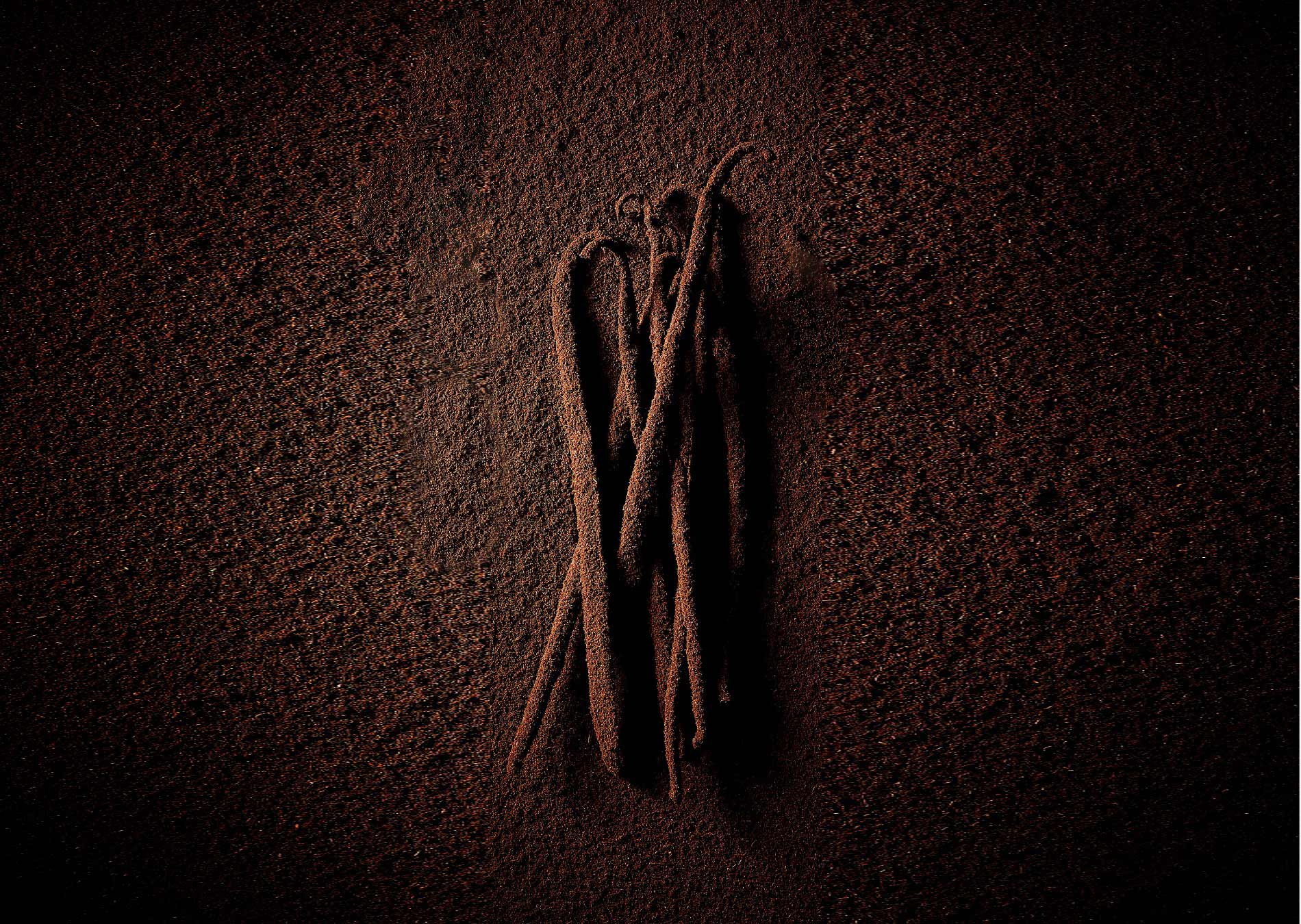 Norohy vanille chocolat